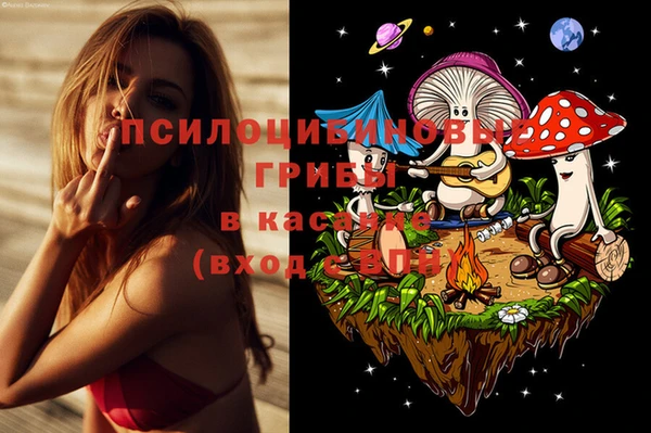 гидропоника Болотное
